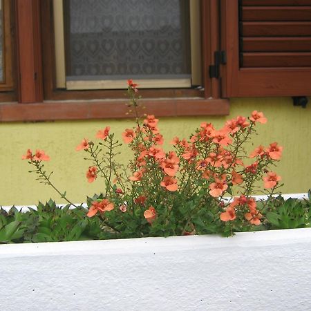 Apartment Meridiana Ρόβινι Εξωτερικό φωτογραφία