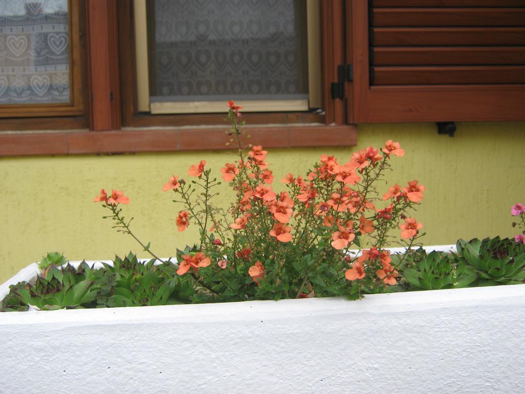 Apartment Meridiana Ρόβινι Εξωτερικό φωτογραφία